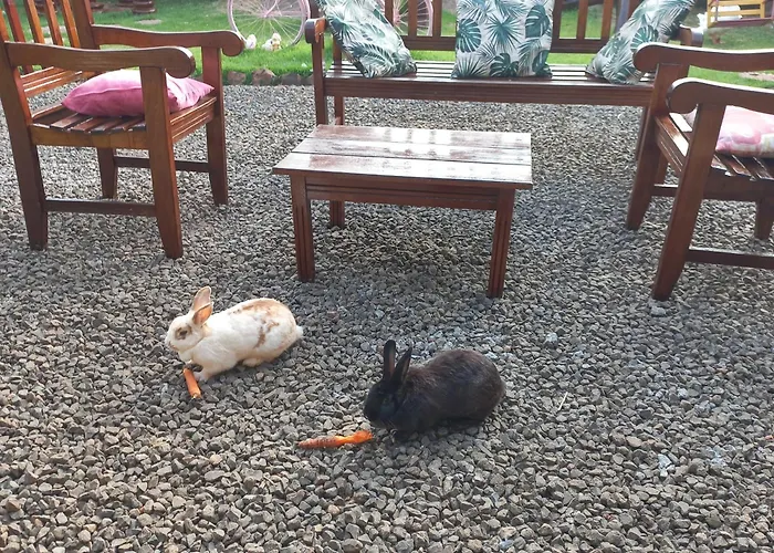 Pousada Flores Em Vida Olímpia